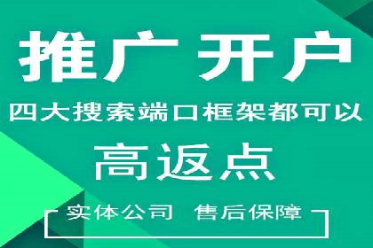 实战经验：竞价推广案例解析与优化策略分享
